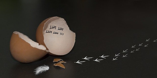 You are a New&nbsp;Creation